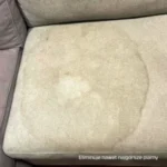 HydraMaster USR (2,95 kg) – Utleniający Środek na Plamy z Moczu i Neutralizator Zapachów - obrazek 3