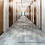 HydraMaster Spotmaster CSR (567g) – Profesjonalny Odplamiacz do Kawy, Herbaty i Barwników - obrazek 2